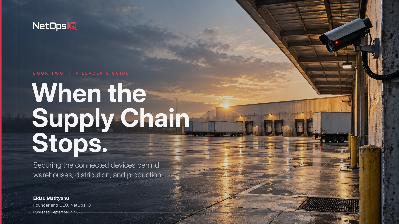 When the Supply Chain Stops eBook cover